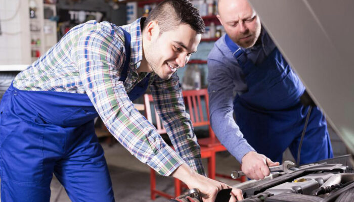 Dickies – Everything you need to know