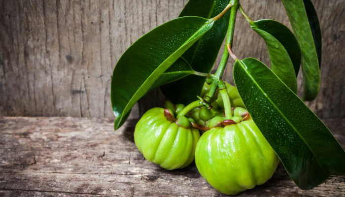 Garcinia cambogia – Know what you consume