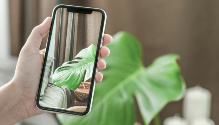 Here’s what you need to know about the latest iPhones