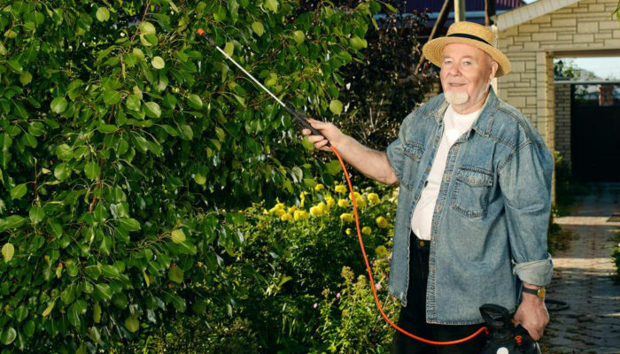 Pros and cons of equipment leasing