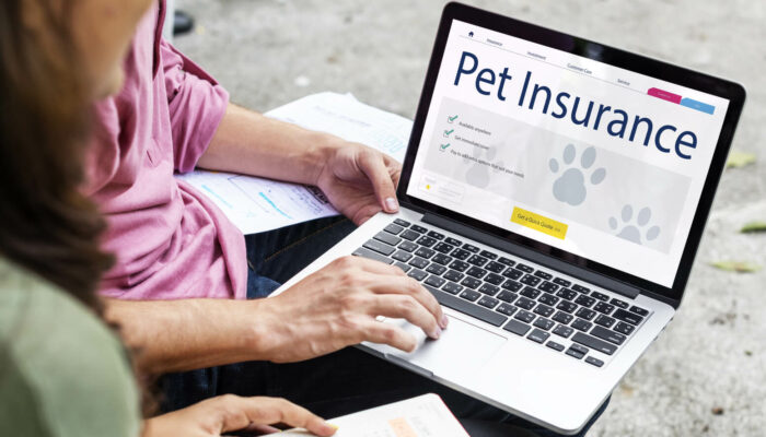 The Average Cost Of Pet Insurance