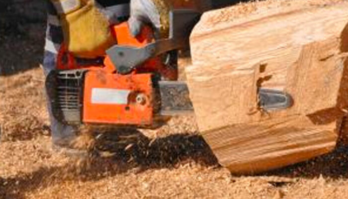 Tree removal services – benefits, costs and more