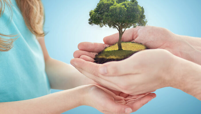 6 simple and effective ways to prevent climate change