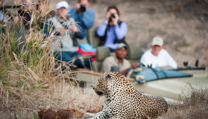 Factors to consider while choosing the best travel agency for an African safari