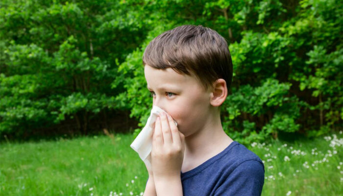 Here’s how you can get pollen allergy relief