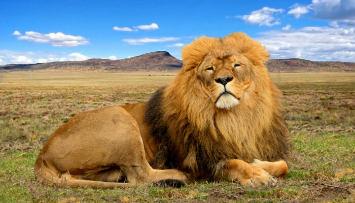 Places to Visit When You Go to Africa