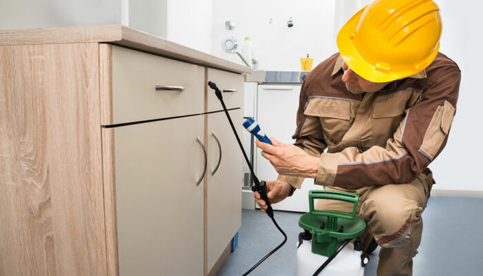 Pest Control Software – Benefits, Tips, and Top Brands