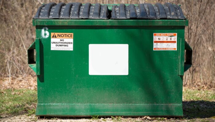 Dumpster Rental: A Complete Guide to Choosing the Right Dumpster for Your Project